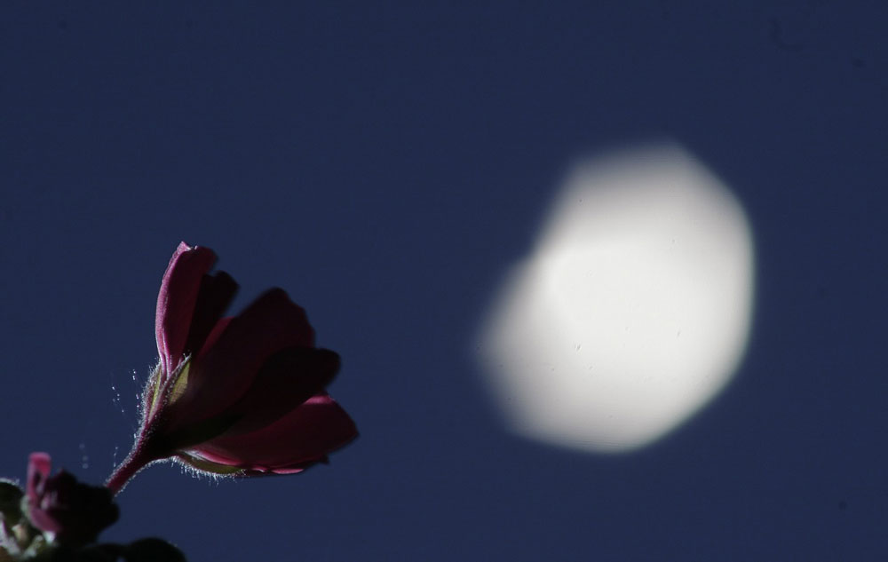 Mythos Mond, Foto: PIXABAY