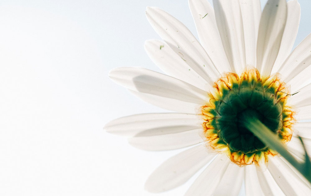 Alles Bio, Foto: PIXABAY