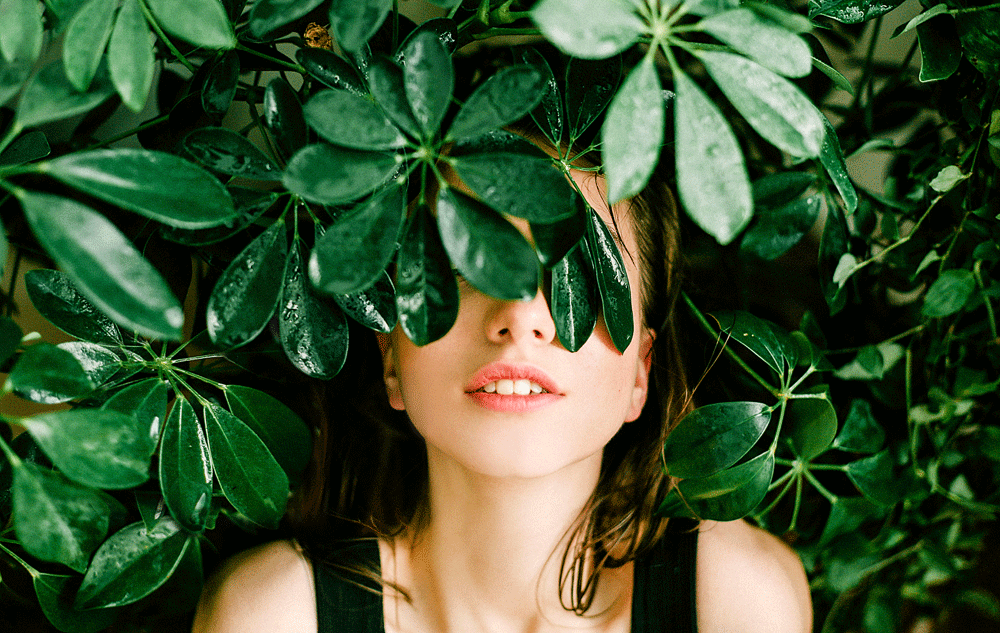 MAGAZIN Pflanzliche Stammzellen: Biotech meets Beauty Bild: pexels
