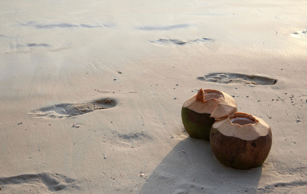 Kokosnuss, Foto: PIXABAY