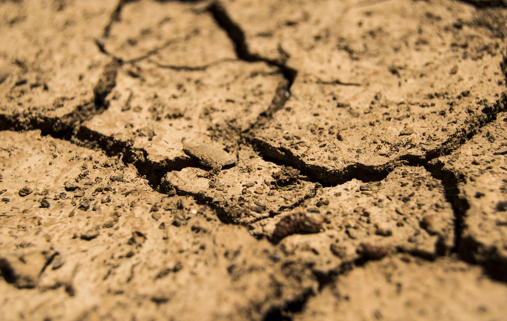 Titelbild Magazin: Down to Earth Bild: pixabay