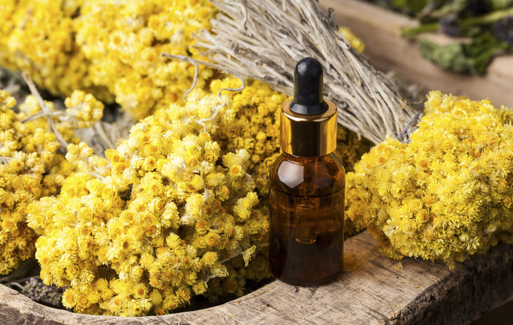 Immortelle
