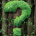 Foto: Fotolia