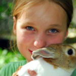 Gute Nachrichten für Tierfreunde!