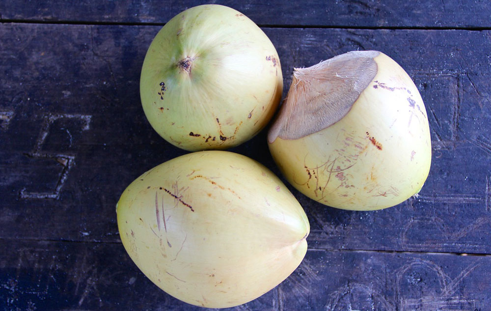 Kokosöl, Foto: PIXABAY