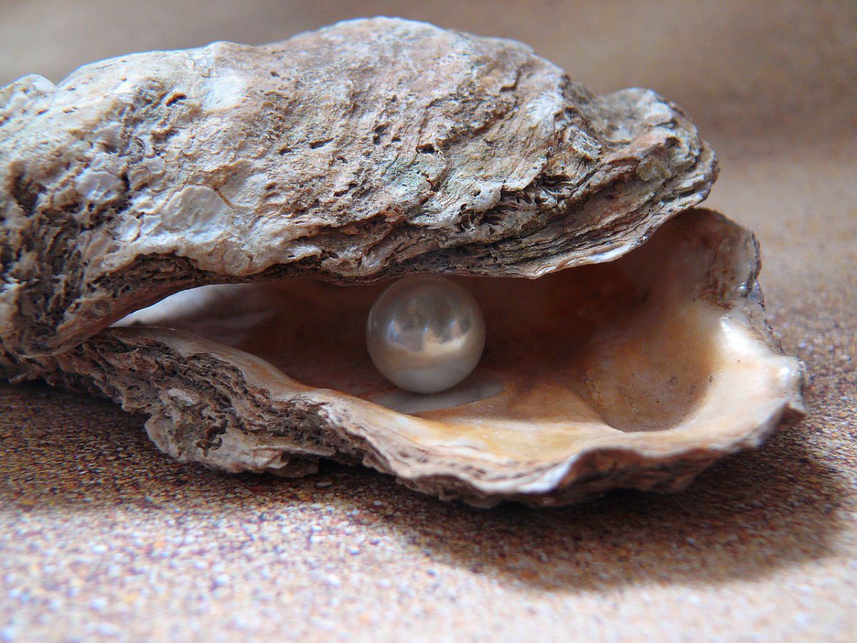 Perlenpuder, Foto: PIXABAY