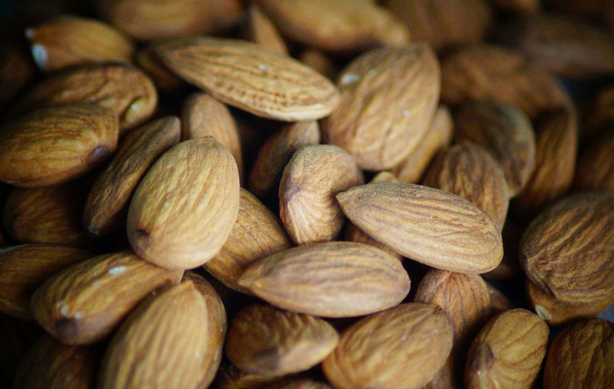 Pflanzenporträt: Mandel, Foto: PIXABAY