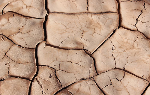 Magazin: No Poo Shampoo war gestern Bild: pixabay