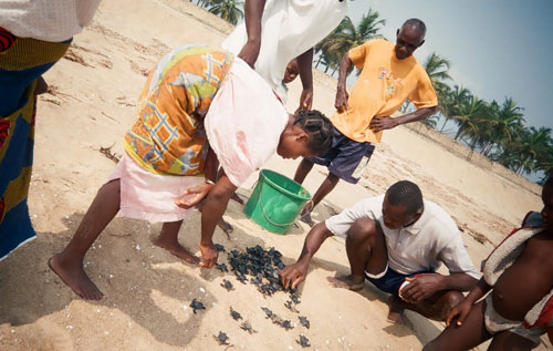 Magazin: Interview: Oceanwell - Aus Liebe zum Meer! Bild: oceanwell
