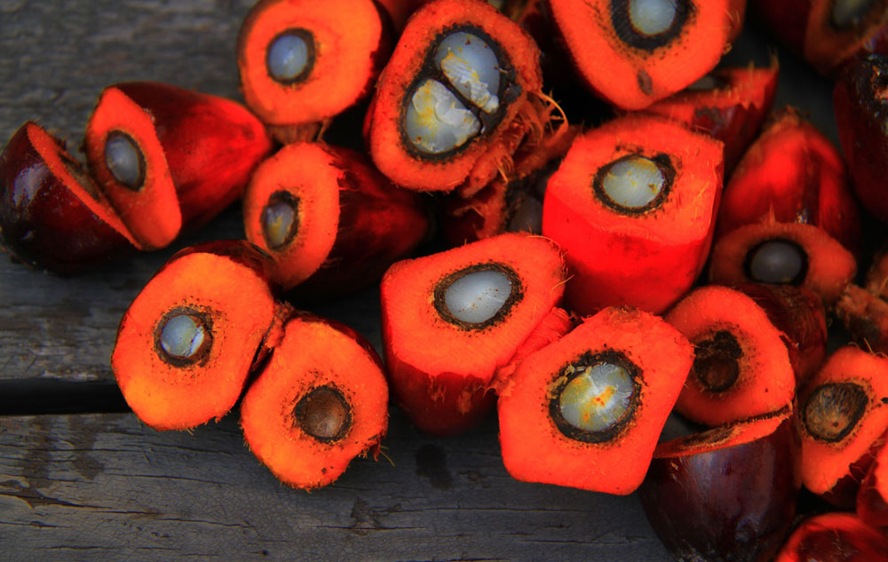Fakten: COSMOS: Palmöl nur noch nachhaltig. Bild: pixabay Bearbeitung: naturalbeauty.de