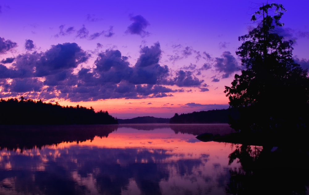 WE LOVE Coole Sommernächte Bild: pixabay