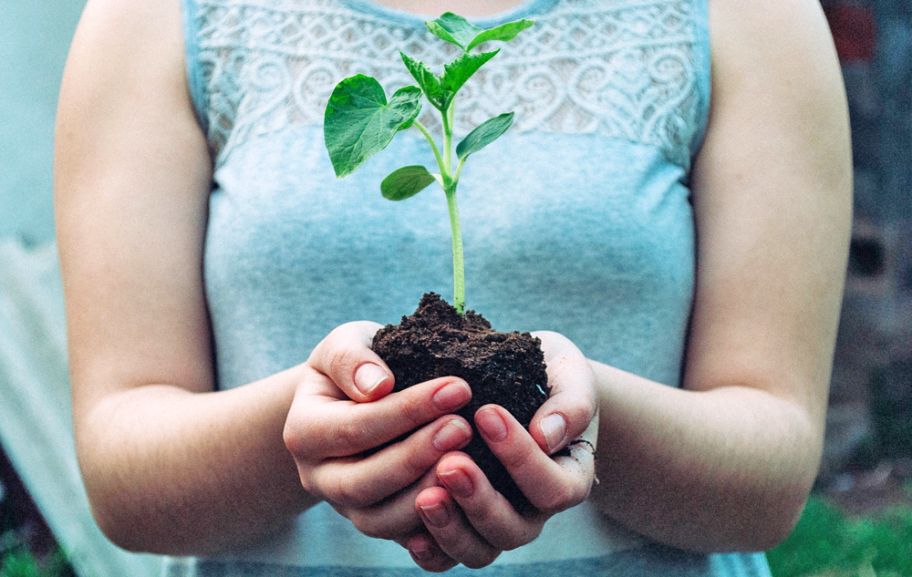 FAKTEN Rohstoffmangel bei Bio-Beauty? Bild: Unsplash