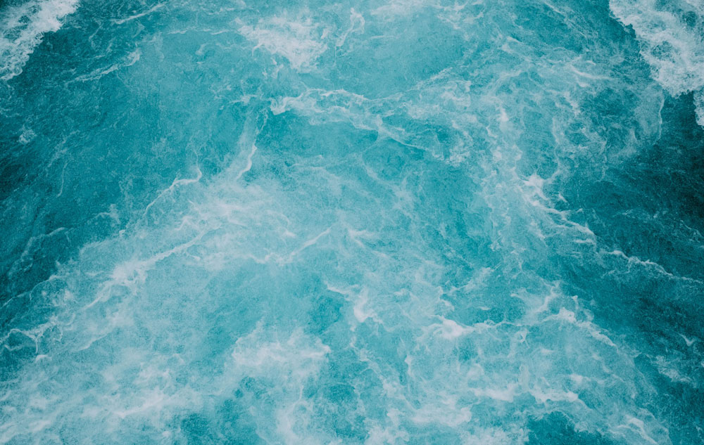 MAGAZIN Wirkstoffpower pur: Kosmetik mit Aloe vera statt Wasser Bild: Unsplash