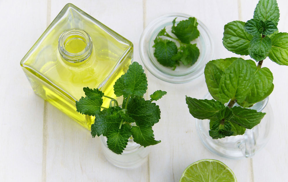 BLOG Ölziehen: Detox für Einsteiger Bild: pixabay