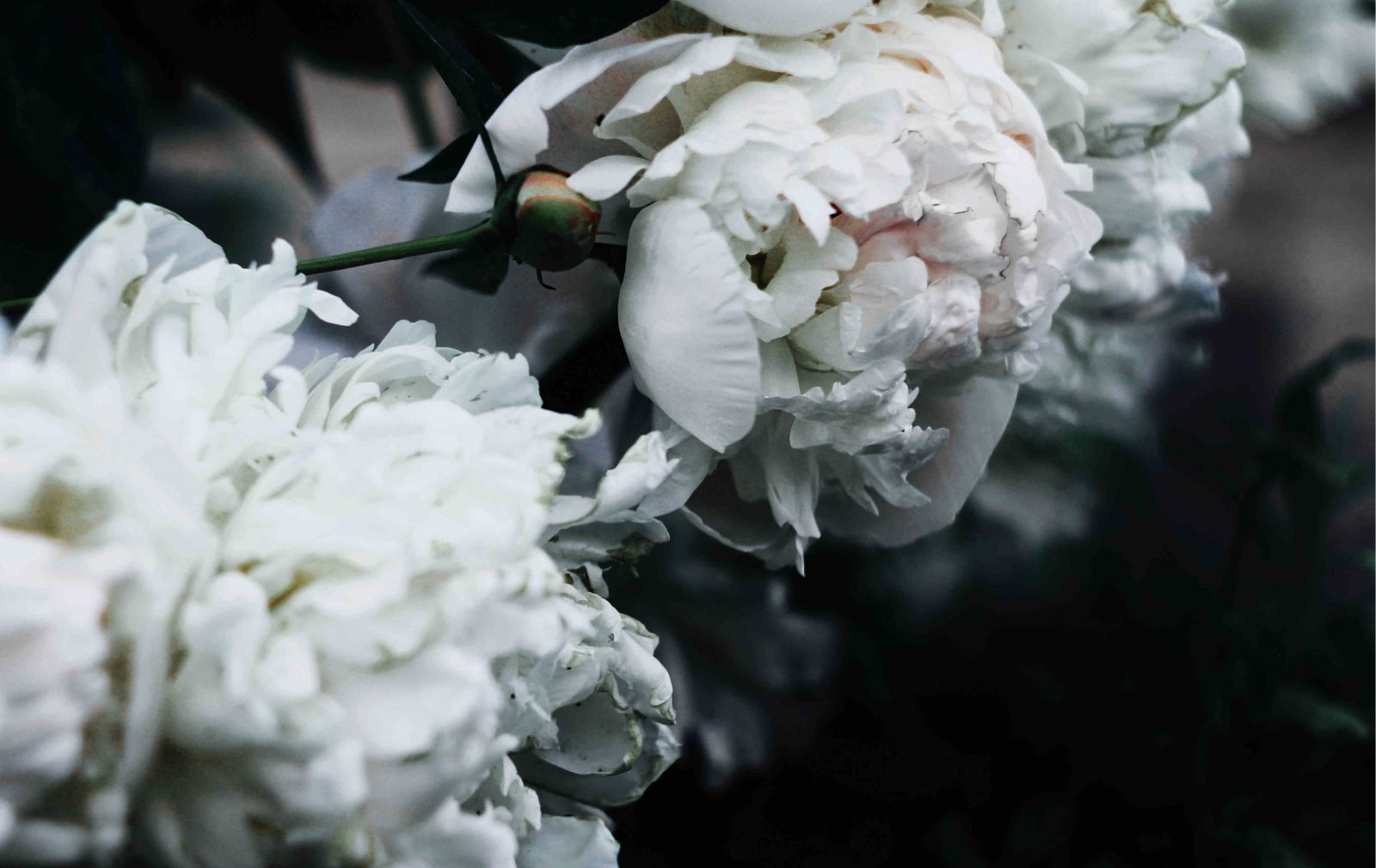 clean beauty